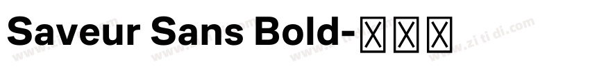 Saveur Sans Bold字体转换